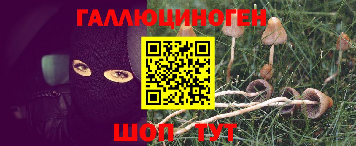 Изобильный  Псилоцибиновые грибы MAGIC MUSHROOMS  Вход с VPN 