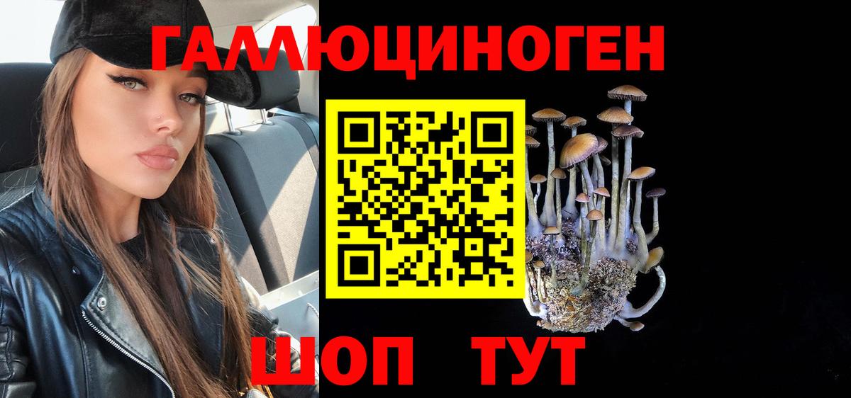 Галлюциногенные грибы Psilocybine cubensis Изобильный